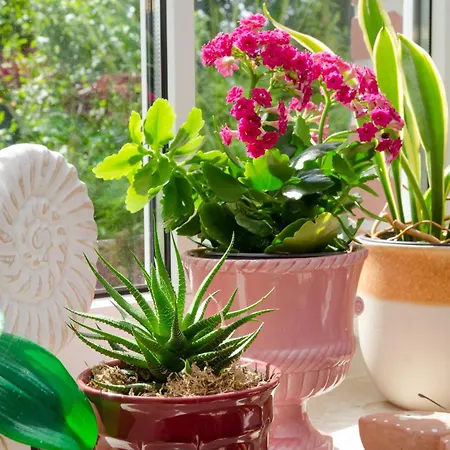 Anni, 65325 Moormerland