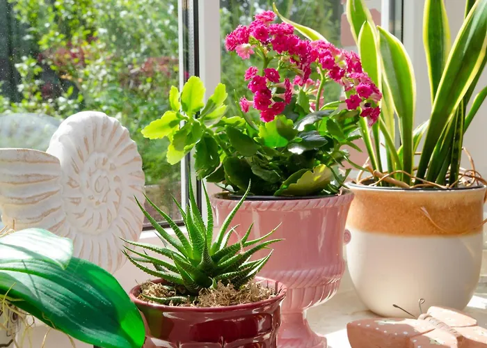 Anni, 65325 Moormerland